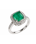 Fiorella Verde Exclusive