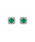 Aretes siena