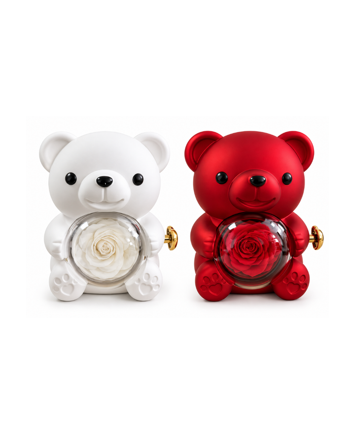 Cofre Oso Premium